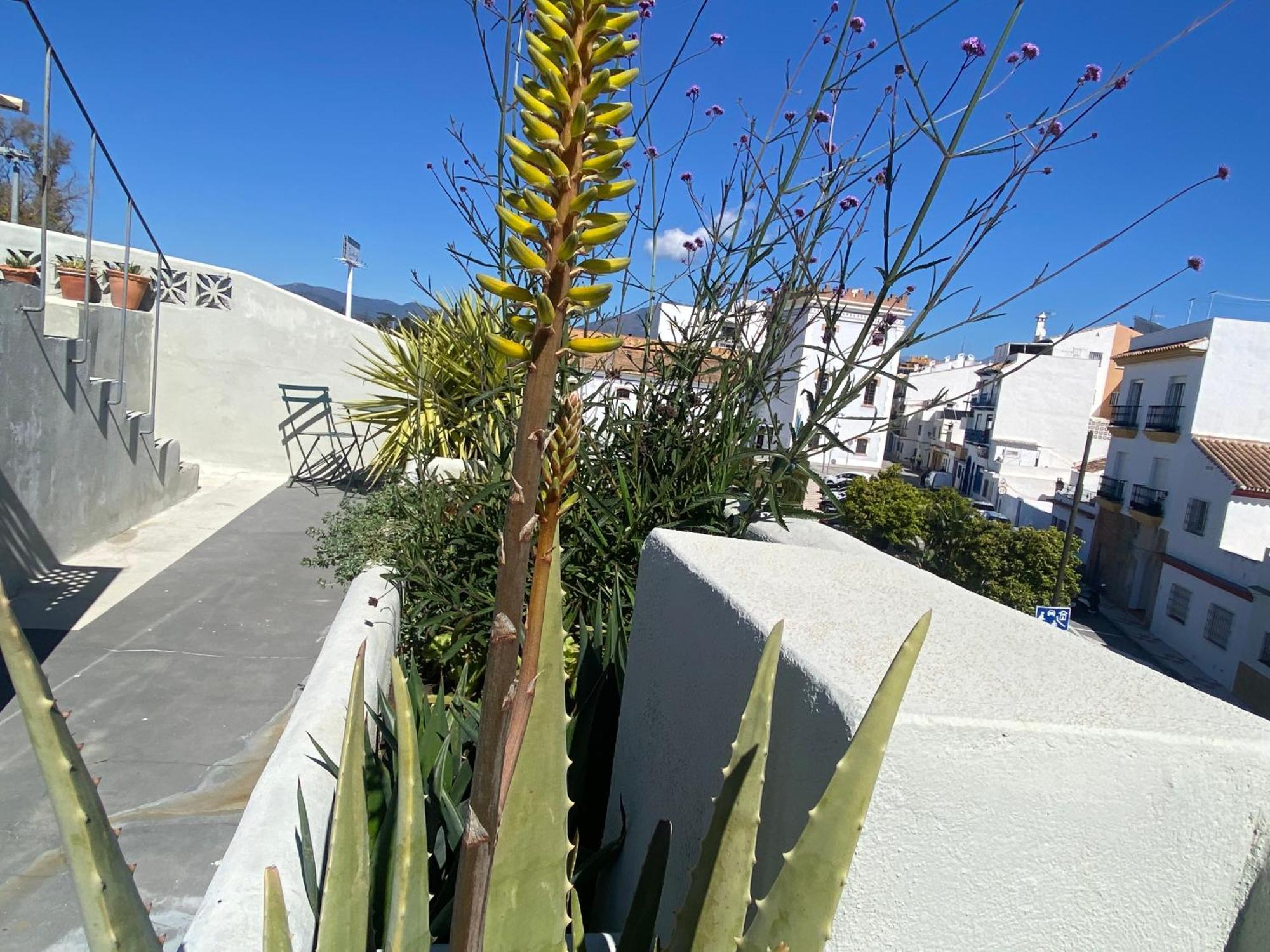 Apartment Romantic Rooftop With Stunning Sea And Mountain Views Marbella